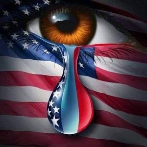 Meet your Posher, Wayne